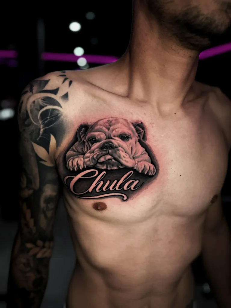 Retrato realista de un bulldog en el pecho