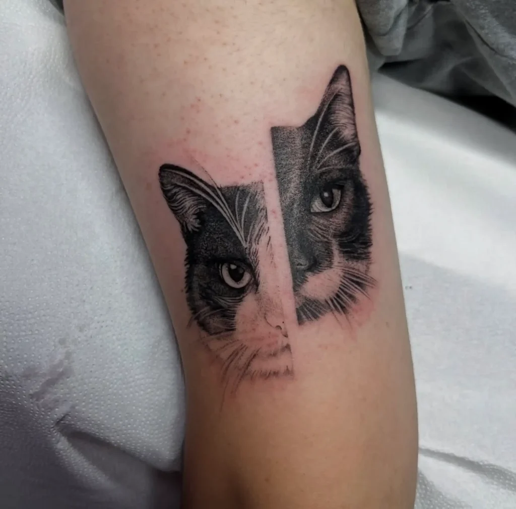 Ojos de dos gatos en microrealismo en el antebrazo